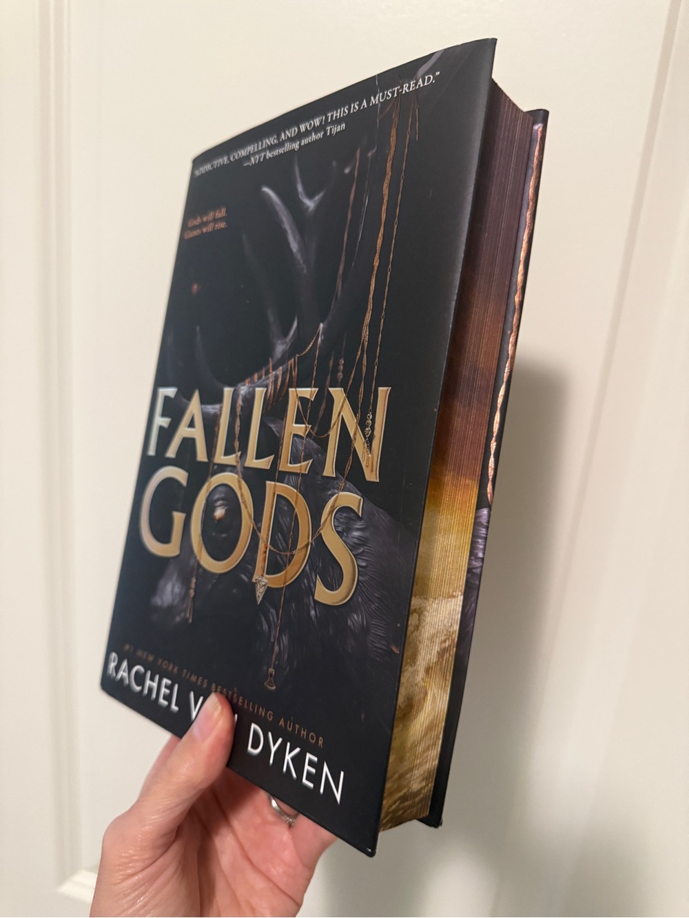 Fallen Gods Book- Rachel V. Dyken
